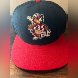 Vintage Asheville Tourists Hat (SnapBack)